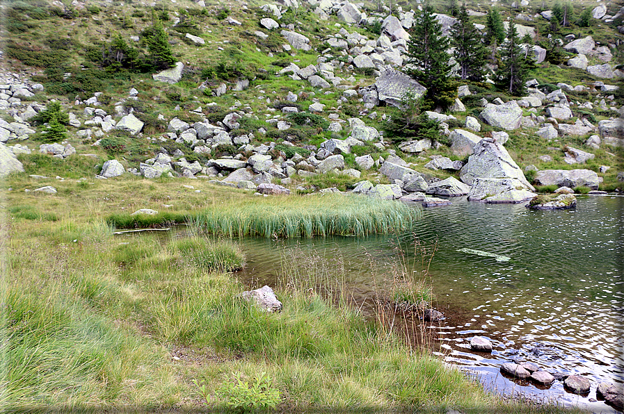 foto Lago di Montalon